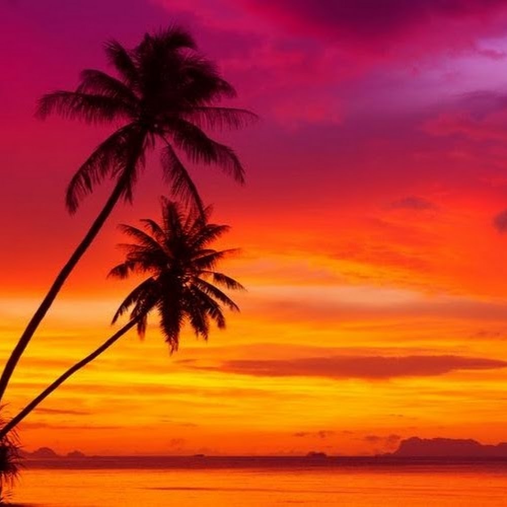 Meet your Posher, Margaret